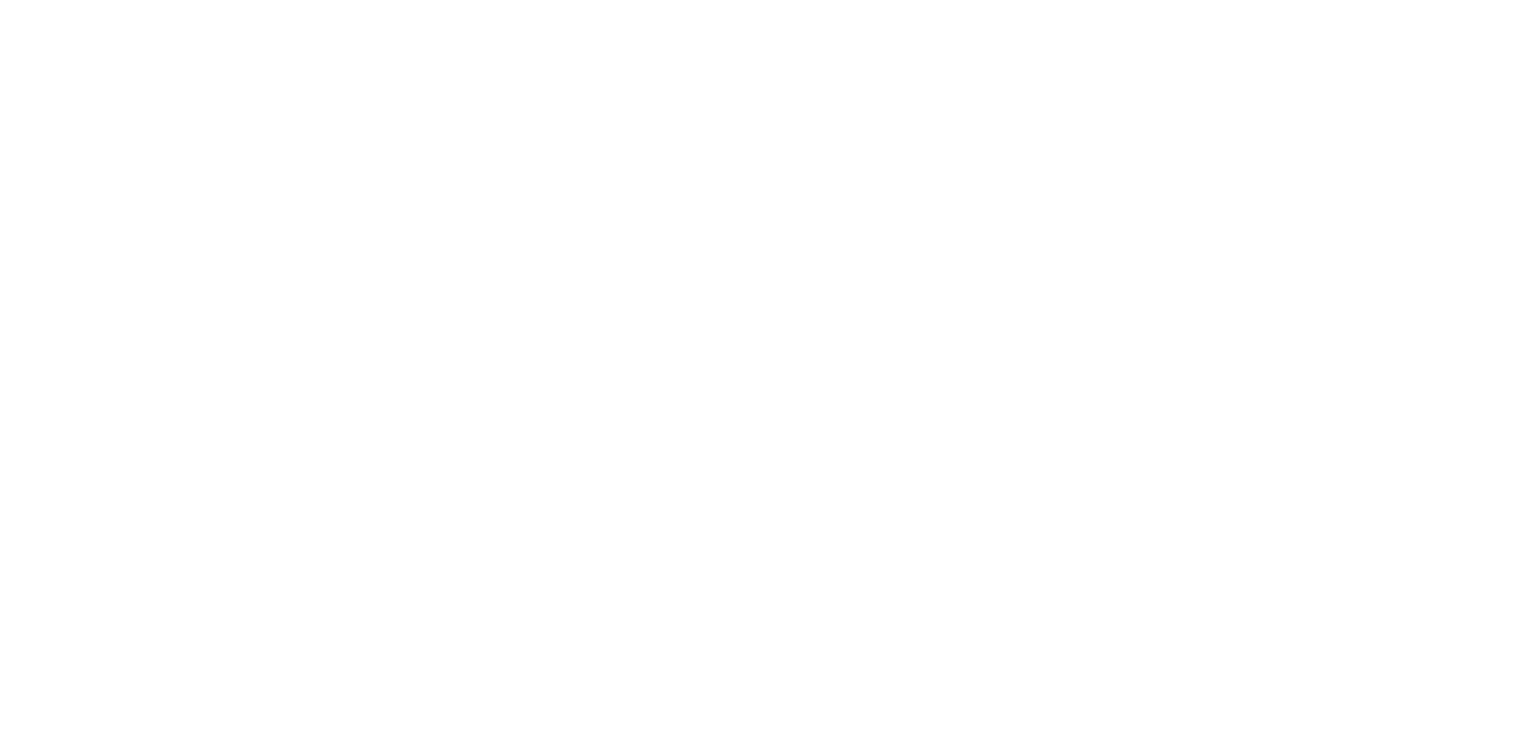 Blue Fire Co.